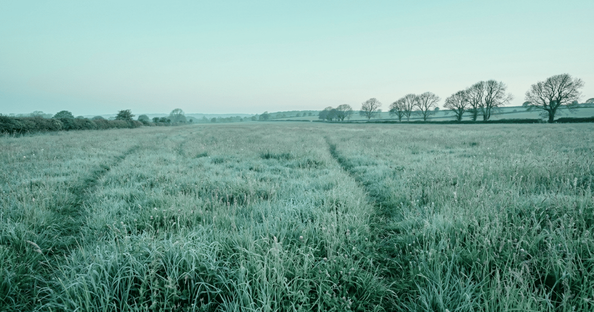 An early morning frost-covered field stretching toward a treeline under a pale cool sky, the grass still and quiet before the day begins.